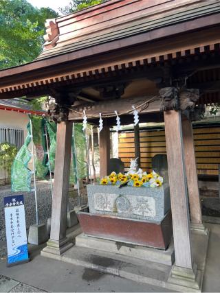 手水舎 白龍の水（田無神社）の参拝記録(⛩️🐍🐢まめ🐢🐍⛩️さん)