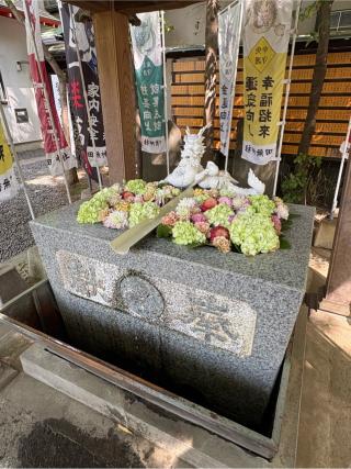 手水舎 白龍の水（田無神社）の参拝記録(色部優兎さん)
