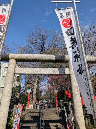手水舎 白龍の水（田無神社）の参拝記録(ヒロさん)