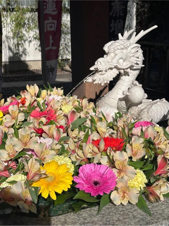 手水舎 白龍の水（田無神社）の参拝記録2