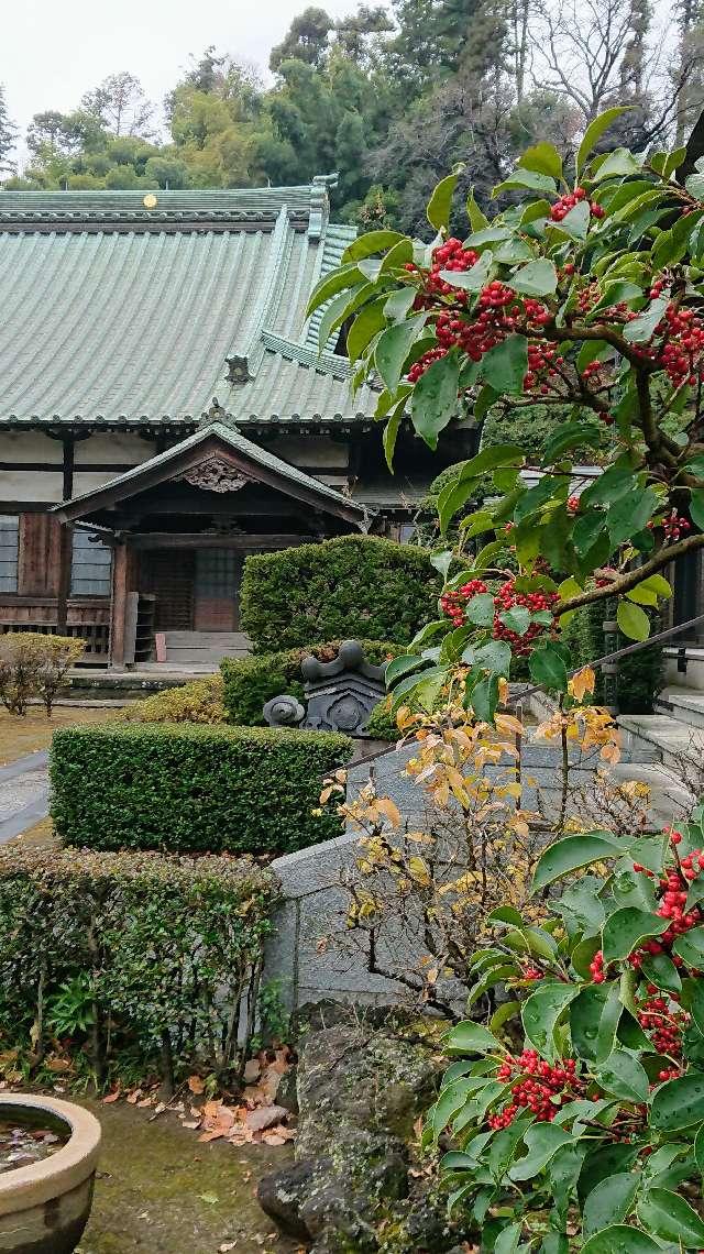 雲松院の参拝記録2