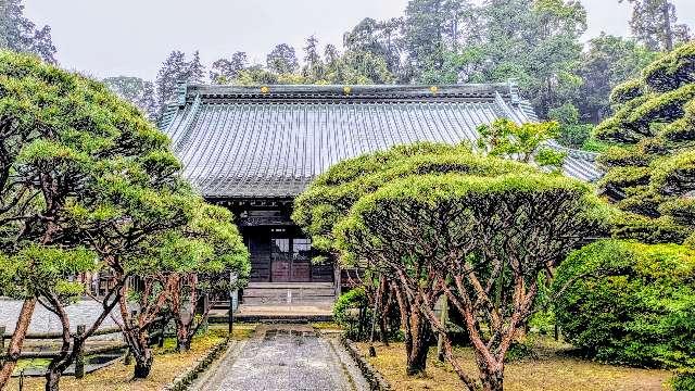 雲松院の参拝記録1