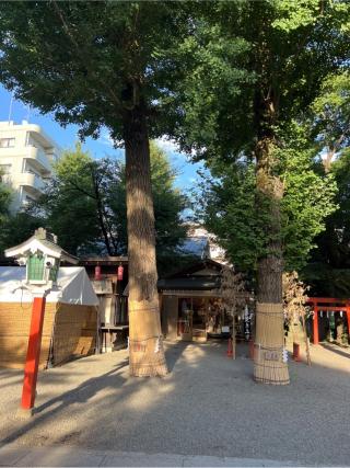 御神木 黒龍木（田無神社）の参拝記録(⛩️🐍🐢まめ🐢🐍⛩️さん)
