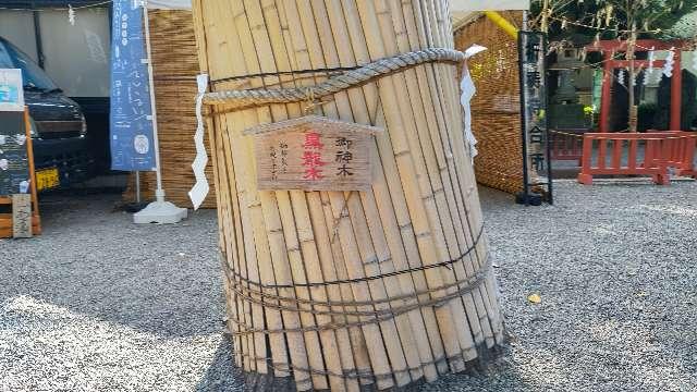 御神木 黒龍木（田無神社）の参拝記録3