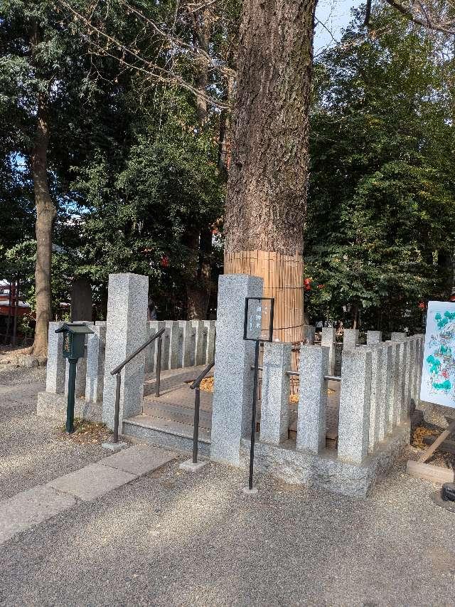 御神木 黒龍木（田無神社）の参拝記録2