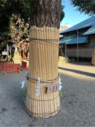 御神木 白龍木（田無神社）の参拝記録(⛩️🐍🐢まめ🐢🐍⛩️さん)