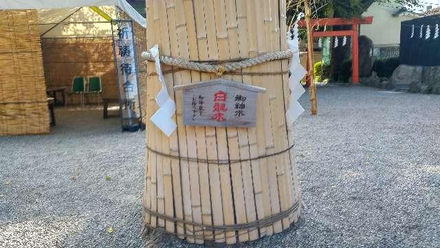 御神木 白龍木（田無神社）の参拝記録3