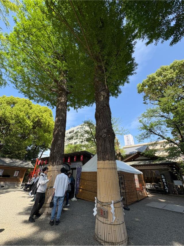 白龍御神木 白龍木（田無神社）の参拝記録4