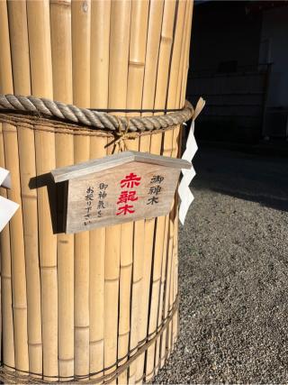 御神木 赤龍木（田無神社）の参拝記録(⛩️🐍🐢まめ🐢🐍⛩️さん)