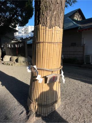 御神木 赤龍木（田無神社）の参拝記録(⛩️🐍🐢まめ🐢🐍⛩️さん)
