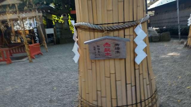 御神木 赤龍木（田無神社）の参拝記録3
