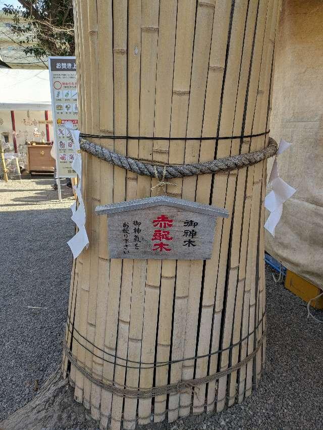 赤龍御神木 赤龍木（田無神社）の参拝記録6