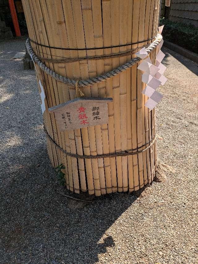 御神木 青龍木（田無神社）の参拝記録2