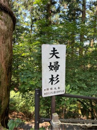 夫婦杉（玉置神社　境内）の参拝記録(⛩️🐍🐢まめ🐢🐍⛩️さん)