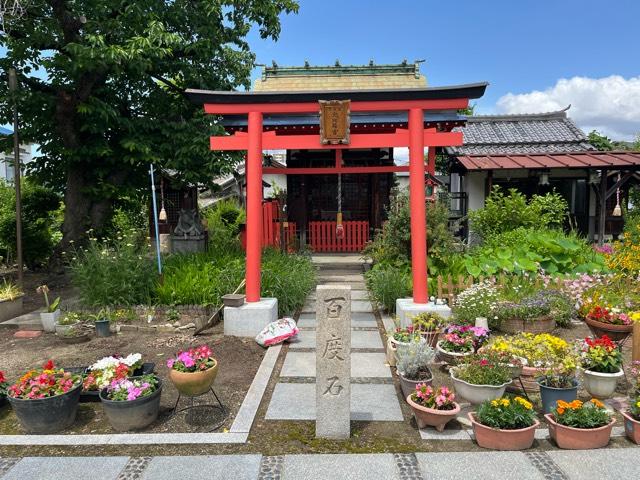 河内國金比羅宮の写真1