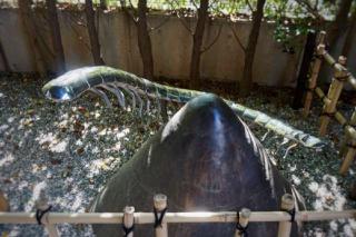 御神像 赤城山と大百足（赤城神社）の参拝記録(ヒロさん)