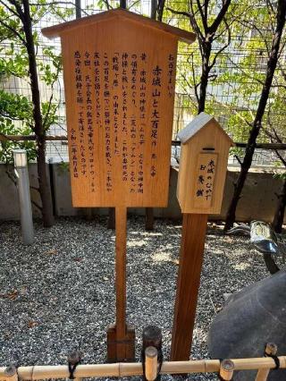 御神像 赤城山と大百足（赤城神社）の参拝記録(ヒロさん)