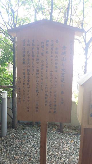 御神像 赤城山と大百足(赤城神社)の参拝記録(りょうまさん)