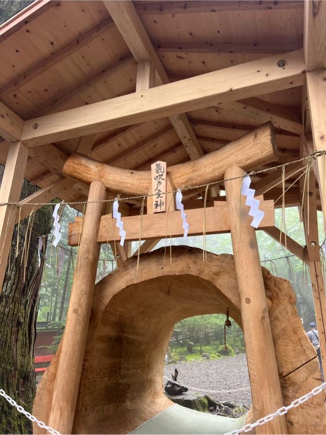気吹戸主神（御神木胎内くぐり）（日光二荒山神社　境内）の参拝記録1