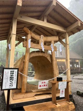 気吹戸主神（御神木胎内くぐり）（日光二荒山神社　境内）の参拝記録(⛩️🐍🐢まめ🐢🐍⛩️さん)
