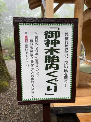 気吹戸主神（御神木胎内くぐり）（日光二荒山神社　境内）の参拝記録(⛩️🐍🐢まめ🐢🐍⛩️さん)
