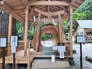 気吹戸主神（御神木胎内くぐり）（日光二荒山神社　境内）の参拝記録(まーさんさん)