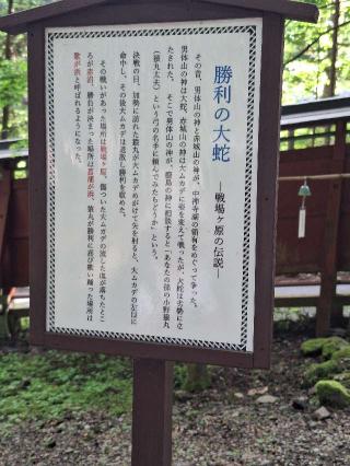 勝利の大蛇（日光二荒山神社　境内）の参拝記録(まーさんさん)