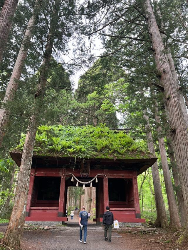 随神門の写真1