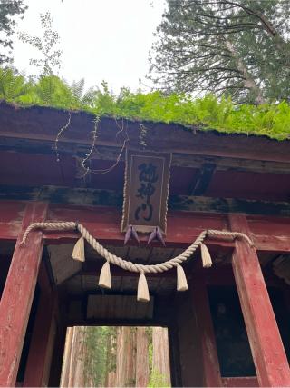 随神門の参拝記録(⛩️🐍🐢まめ🐢🐍⛩️さん)