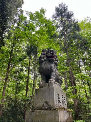 随神門の参拝記録(⛩️🐍🐢まめ🐢🐍⛩️さん)