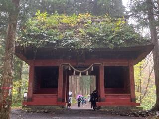 随神門の参拝記録(りんさん)