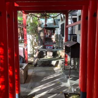 菊井稲荷（金刀比羅社境内）の参拝記録(ワヲンさん)