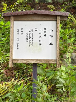 山神社の参拝記録(こーちんさん)