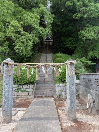 日吉神社の参拝記録(いけさん)