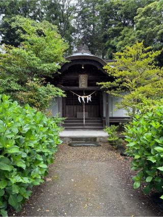 八坂神社の参拝記録(こーちんさん)