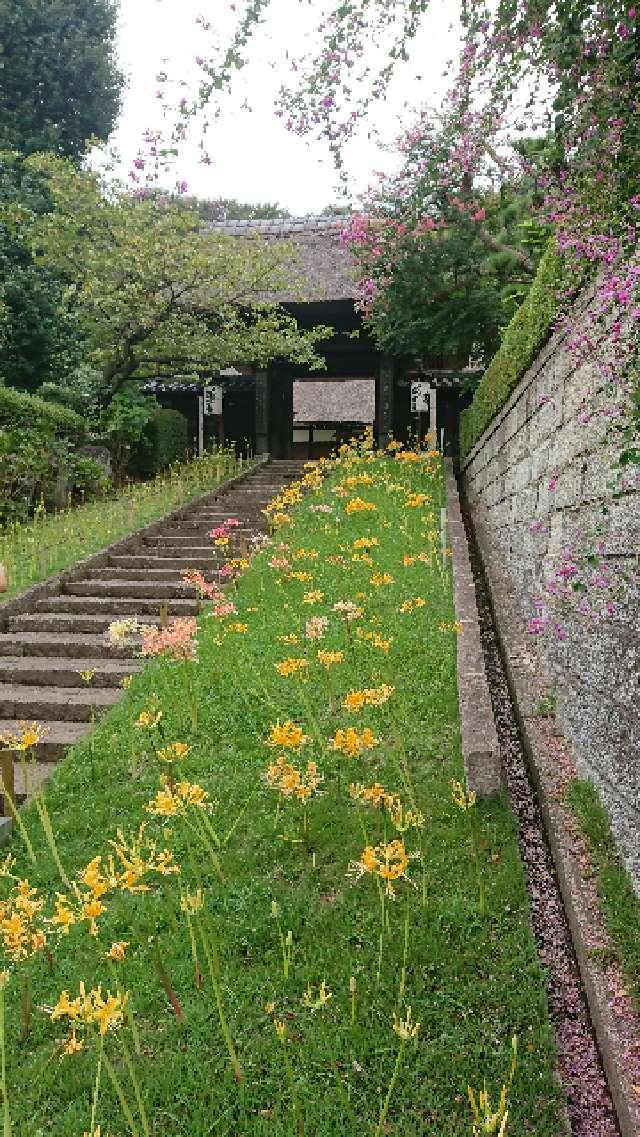 神奈川県横浜市港北区新羽町2586 補陀洛山 安養院 西方寺の写真2