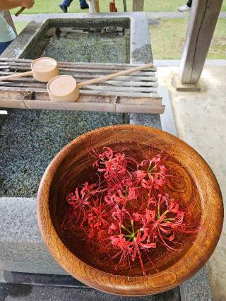 補陀洛山 安養院 西方寺の参拝記録(たくまささん)