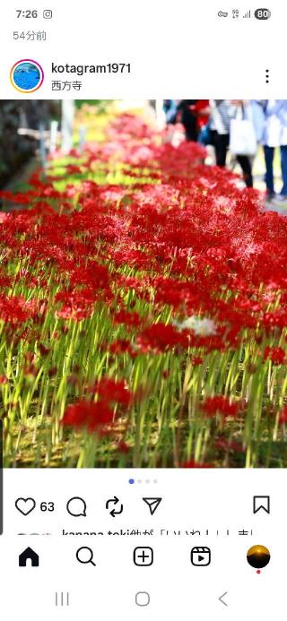補陀洛山 安養院 西方寺の参拝記録(たくまささん)