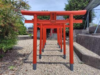 福◯稲荷の参拝記録(ロビンさん)