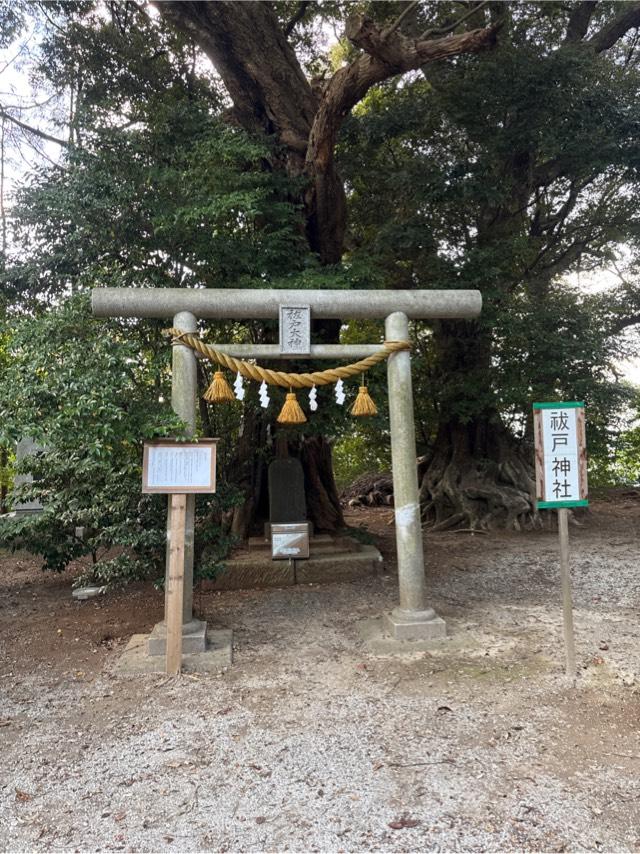 祓戸神社の参拝記録1