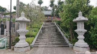 遍照山 光明寺の参拝記録(まっきーさん)