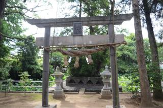 蓍町水神社の参拝記録(ドラゴンさん)