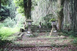 妙見神社の参拝記録(ドラゴンさん)