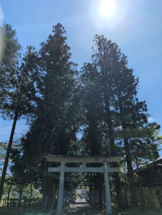 鍛冶神社（遠野八幡宮境内社）の参拝記録(SFUKUさん)