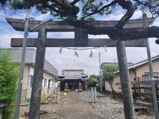 須賀神社の参拝記録(さとみさん)