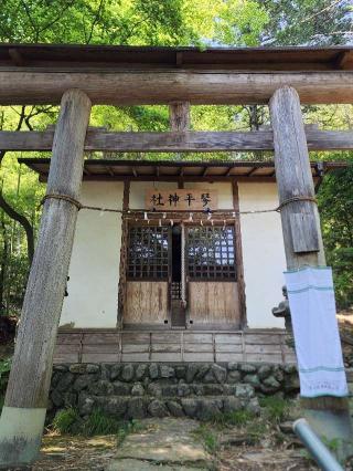 琴平神社の参拝記録(たけちゃ～ん⚾さん)