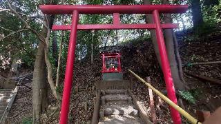 稲荷社（お鷹の道・真姿の池）の参拝記録(まっちゃんさん)