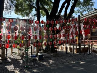 佐璢女神社の参拝記録(コットンさん)