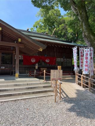 佐璢女神社の参拝記録(⛩️🐍🐢まめ🐢🐍⛩️さん)