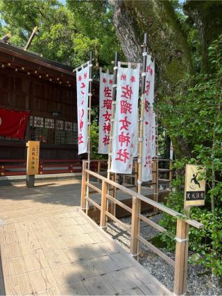 佐璢女神社の参拝記録(⛩️🐍🐢まめ🐢🐍⛩️さん)